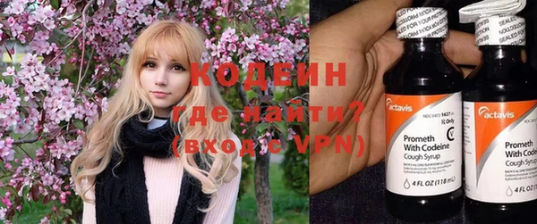 стафф Новодвинск