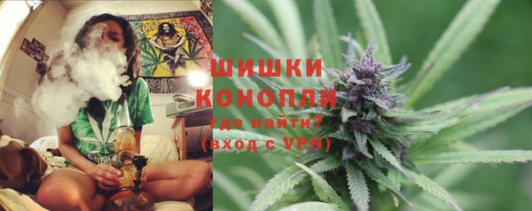 кокс Бородино