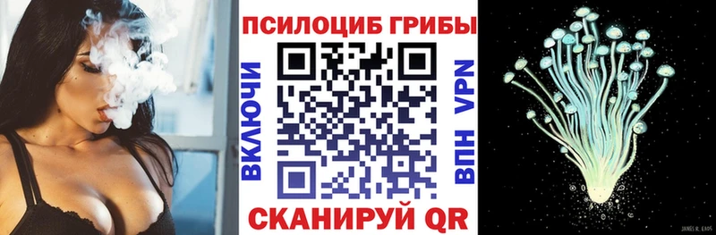 OMG зеркало  купить наркоту  Голицыно  Галлюциногенные грибы Psilocybe 
