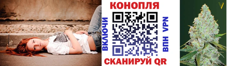 где купить   Голицыно  Бошки марихуана THC 21% 